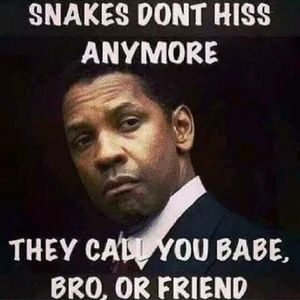 Meet your Posher, Bryant